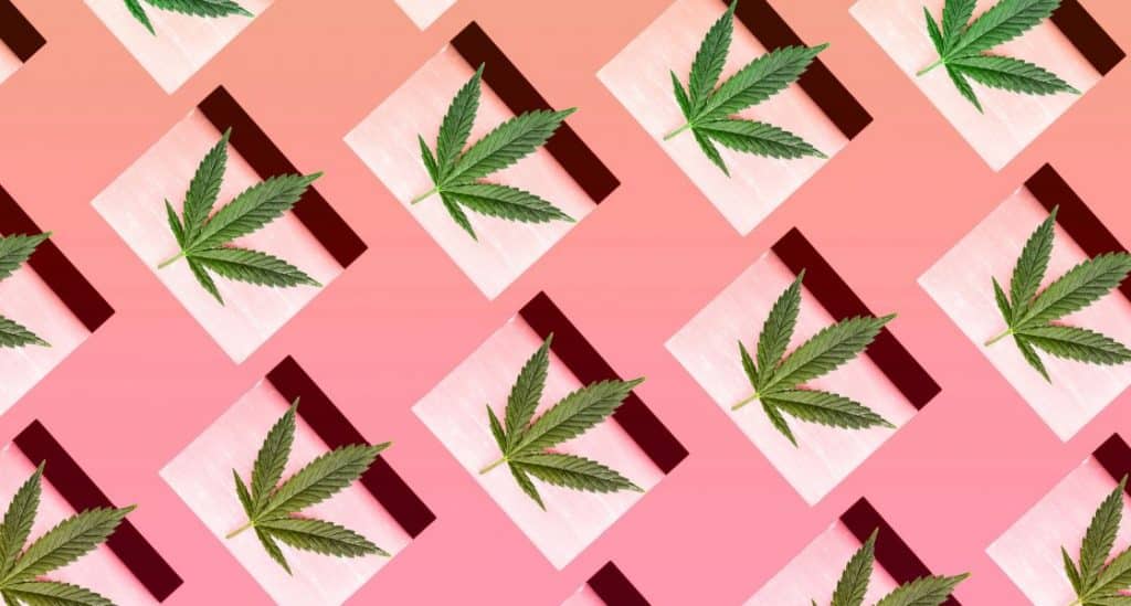 L'émergence des produits de beauté au CBD