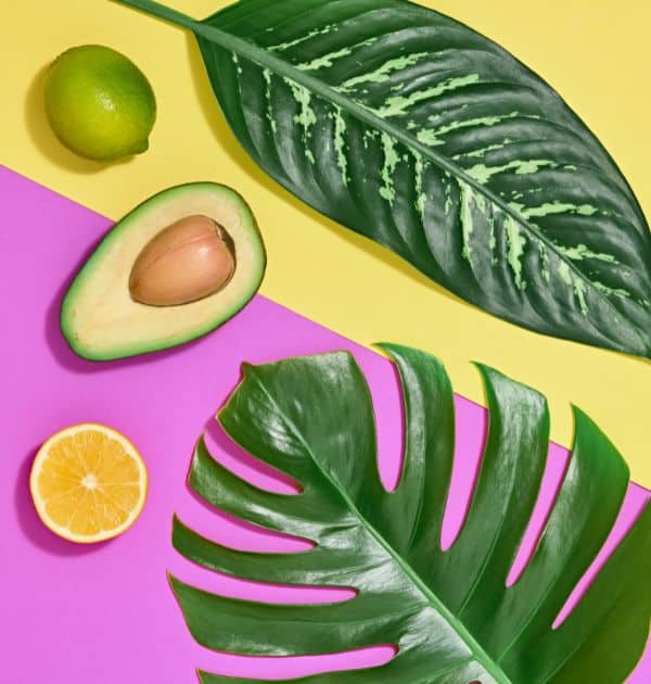 Comment un régime vegan peut améliorer la santé de votre peau en 2023 ?